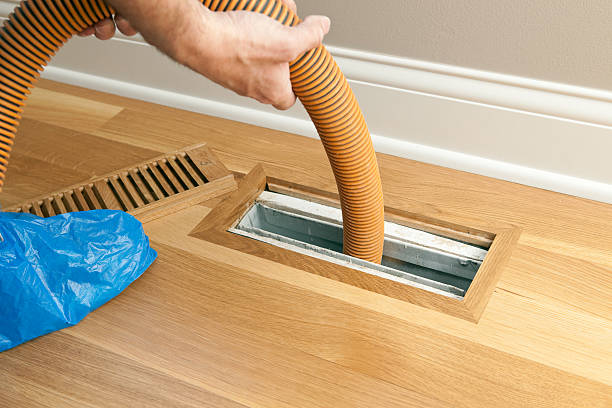 Best Local Air Duct Cleaning Services  in Bono, AR