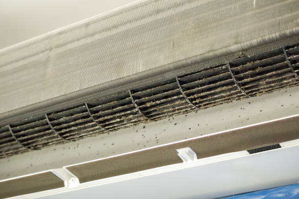 Best Professional Duct Cleaning Services  in Bono, AR